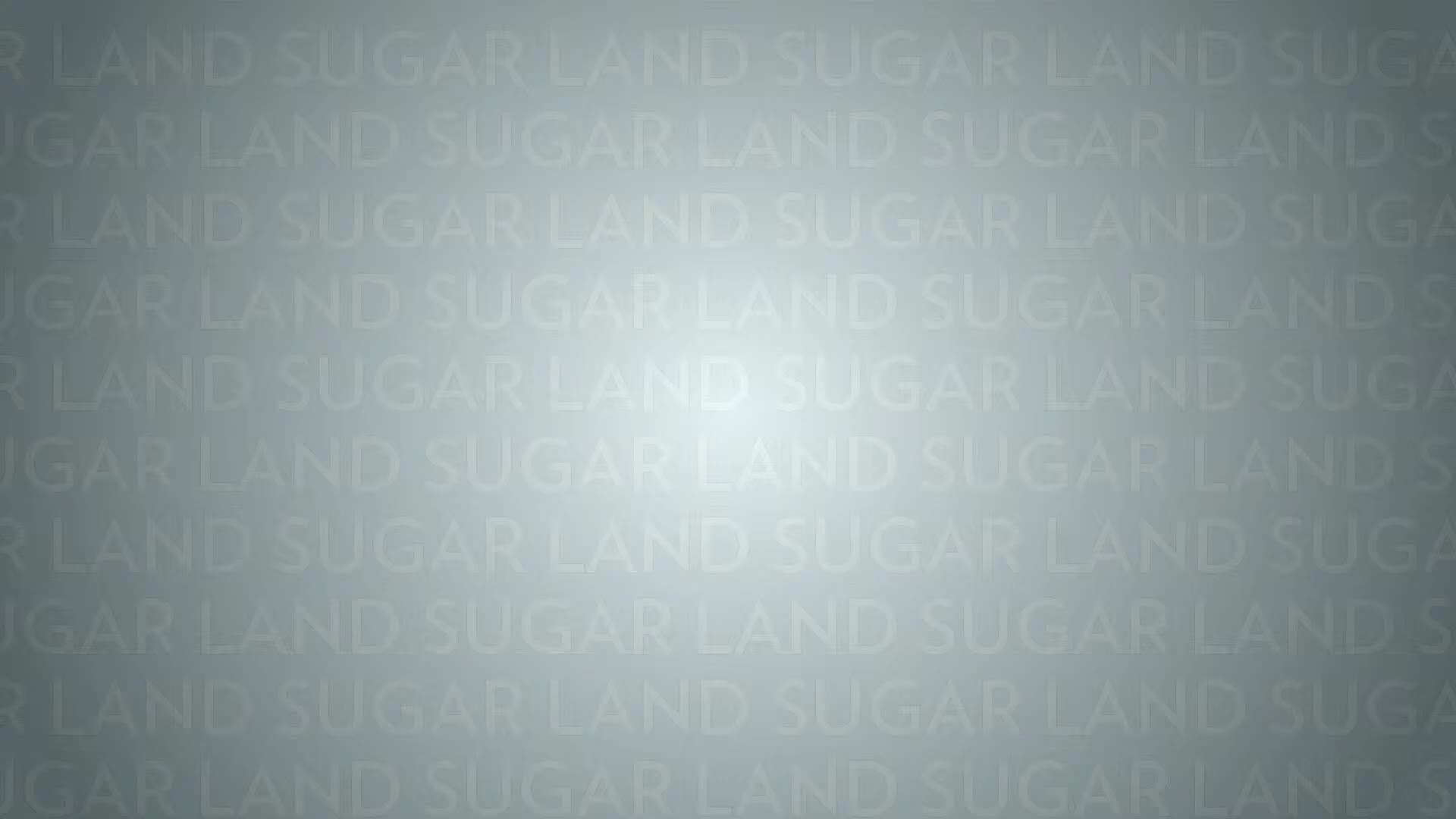 Sugar Land Planning and Zoning Commission elects chair pro tem, approves routine business