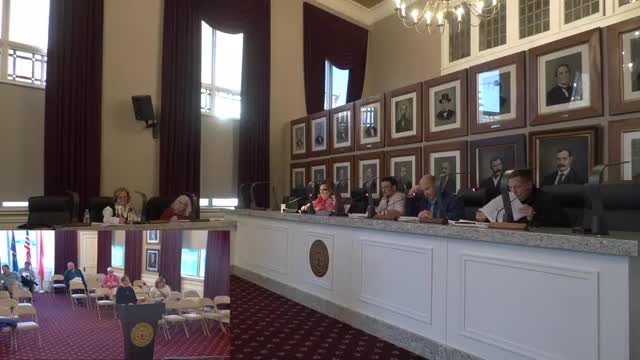 Park finances under review as Crystal Beach shows seasonal loss; mayor outlines $25M in park capital needs