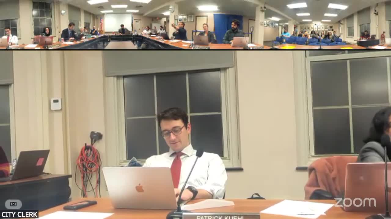 Town planner briefs Ithaca City Council on proposed joint historic preservation program