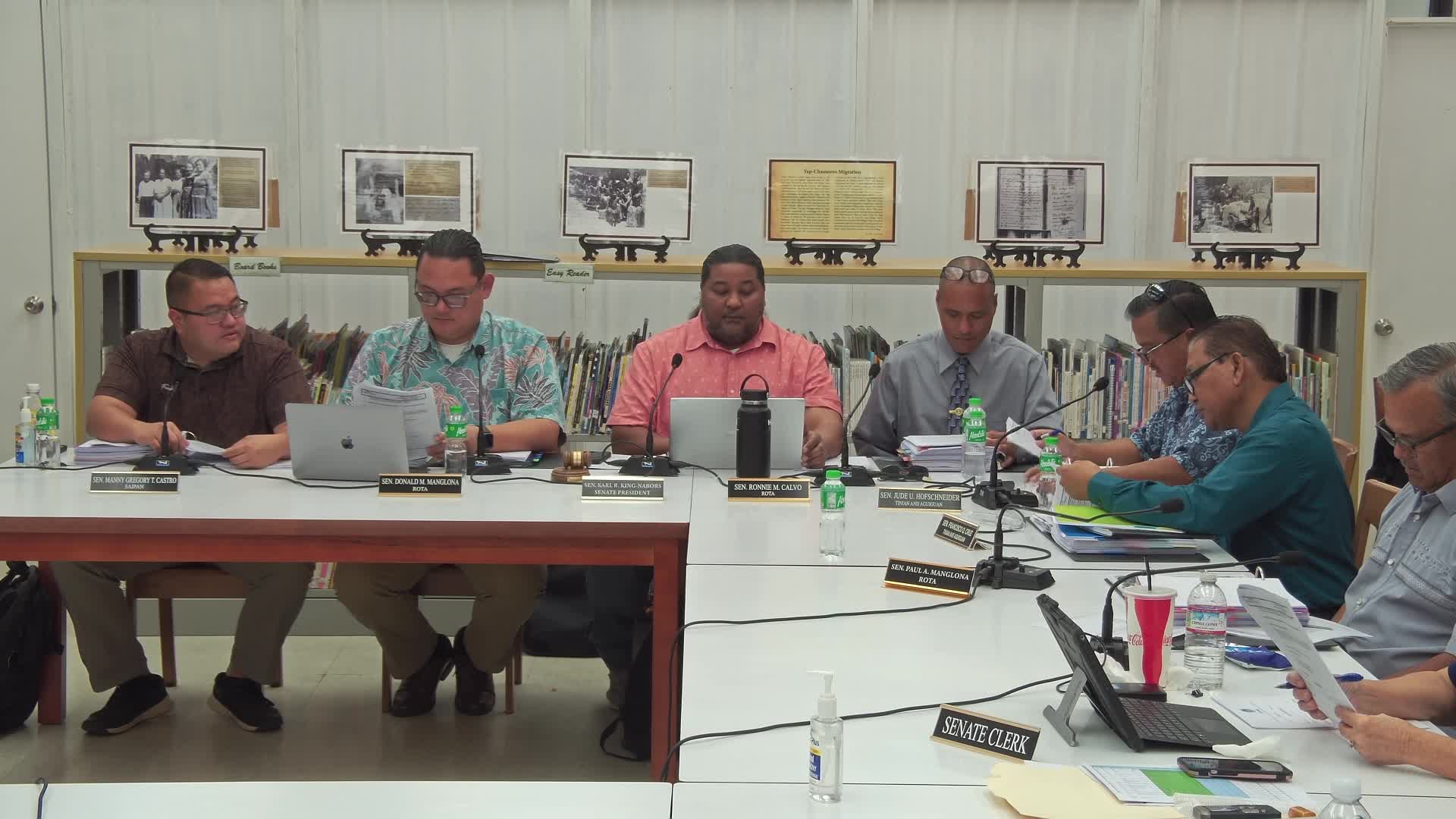 Senate adopts commemorative resolutions honoring local leaders and organizations