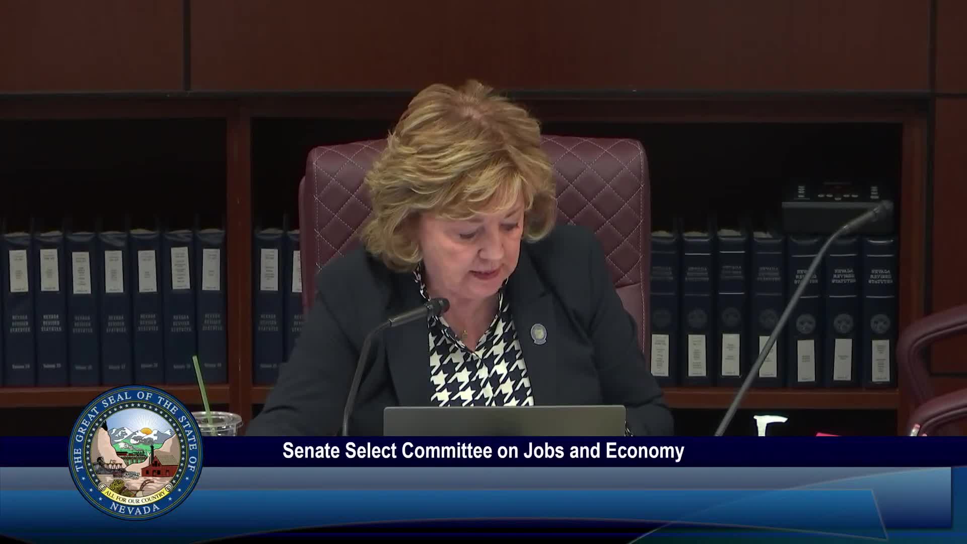 Senate committee debates $1.25 million-a-year broker pay to promote Nevada public option
