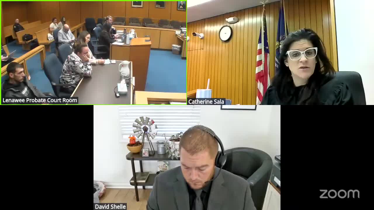 Judge suspends parenting time, orders MDHHS subpoena and sets trial dates in Lenawee County juvenile case