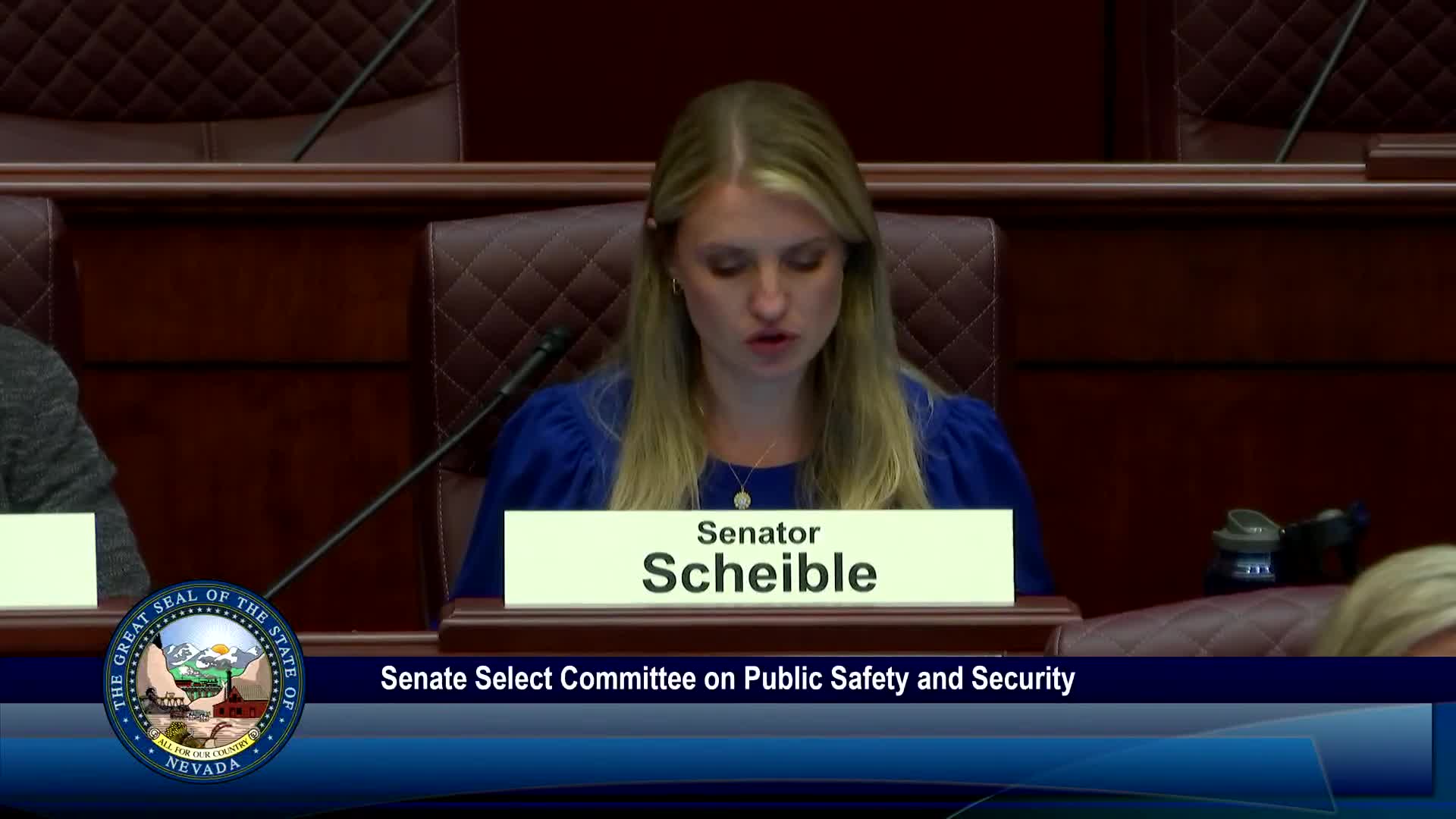 Senate committee hears emotional testimony on SB6 to finish Windsor Park relocation and memorial park