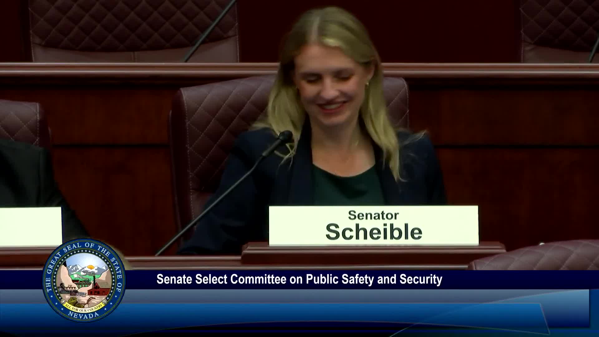 Senate committee backs SB 2 to correct NRS codification after Nevada Supreme Court ruling