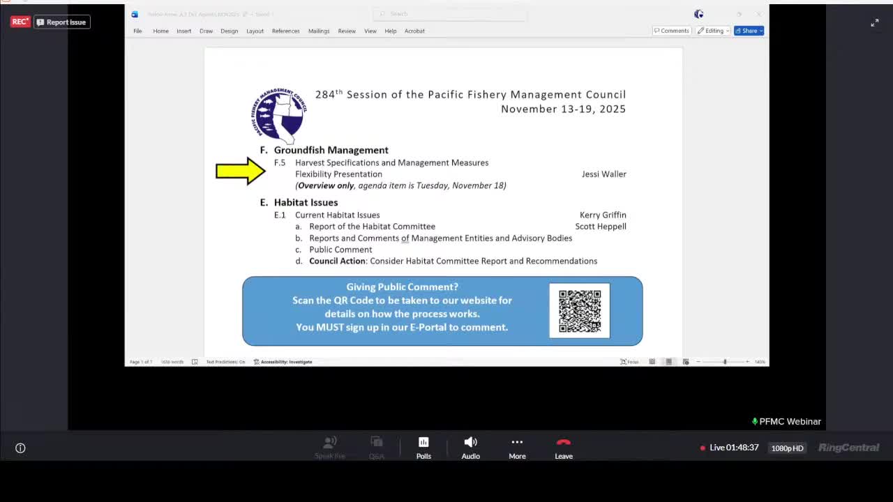 Council staff outline carryover, phase-ins and a 'green-light' option to boost groundfish flexibility