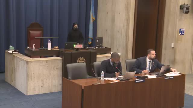 Residents, advocates tell council White Stadium plan risks privatizing Franklin Park and diverts school dollars