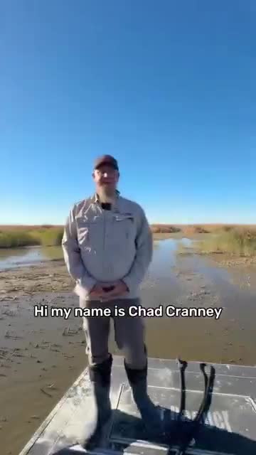 Utah wildlife official outlines 3–4 year plan to control invasive phragmites at Great Salt Lake