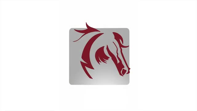 CCSD 62 art teachers describe collaborative mascot and logo project to build school identity