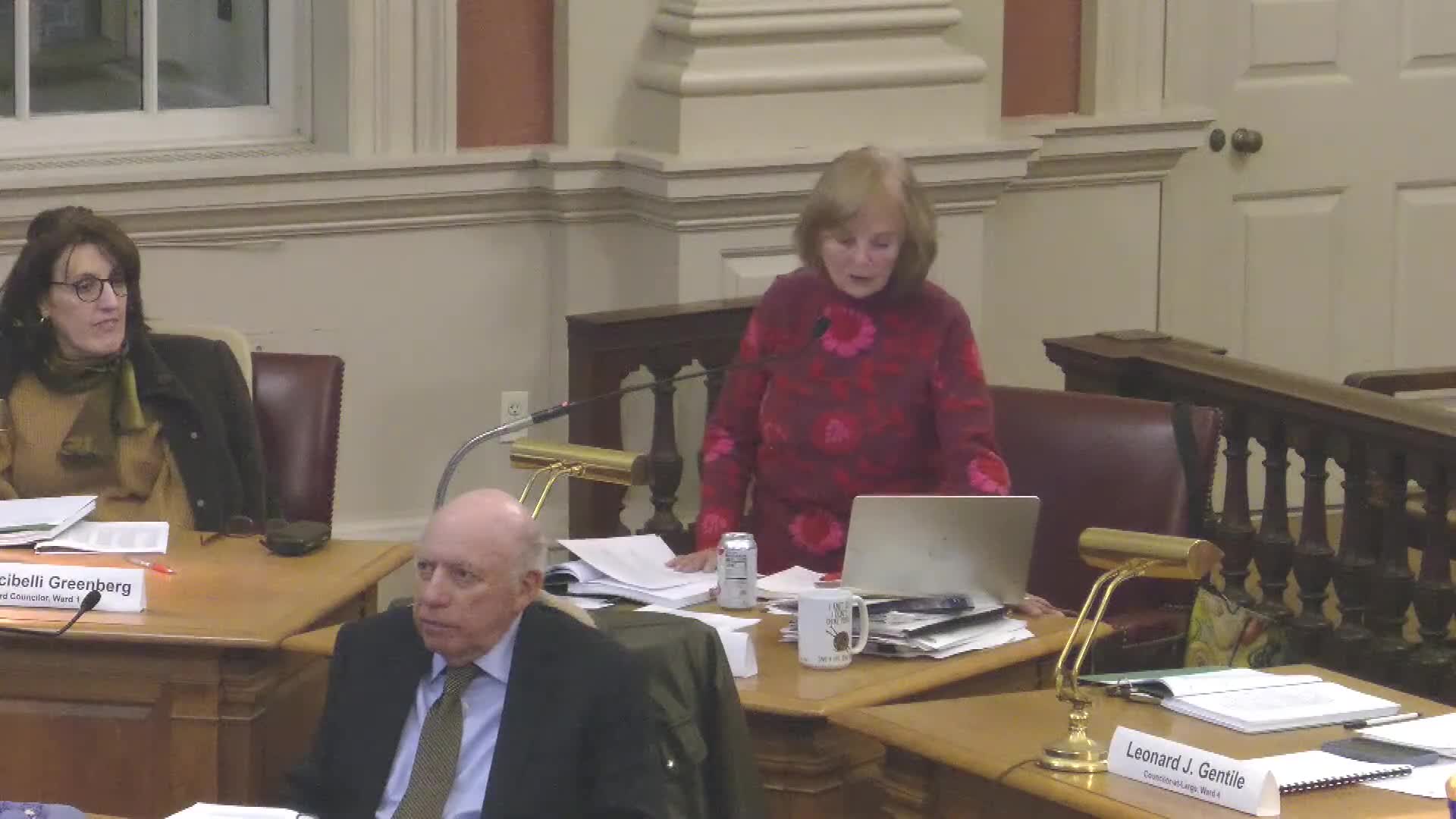 Council approves working group and conditions for Newton Highlands village improvement