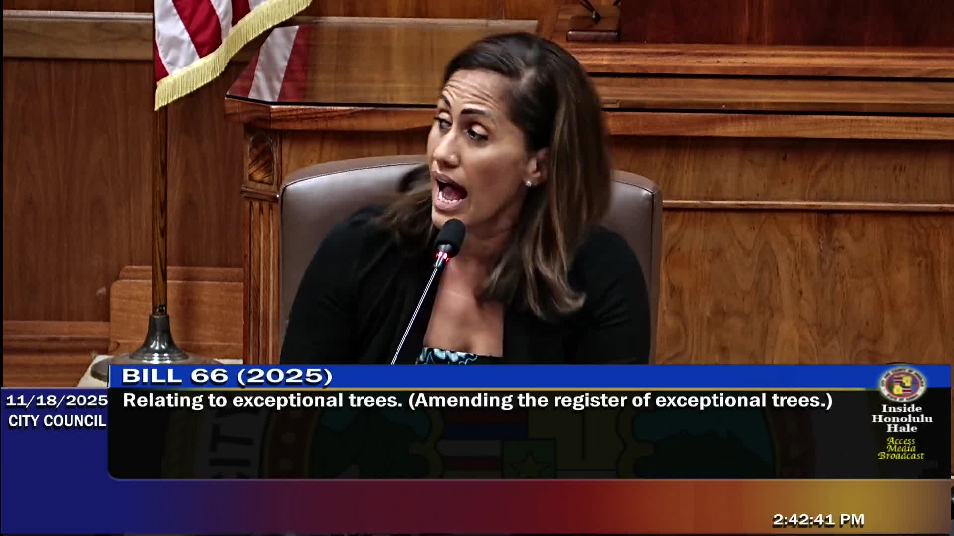 Honolulu committee advances two parks board nominees; Hauser’s reappointment draws public opposition