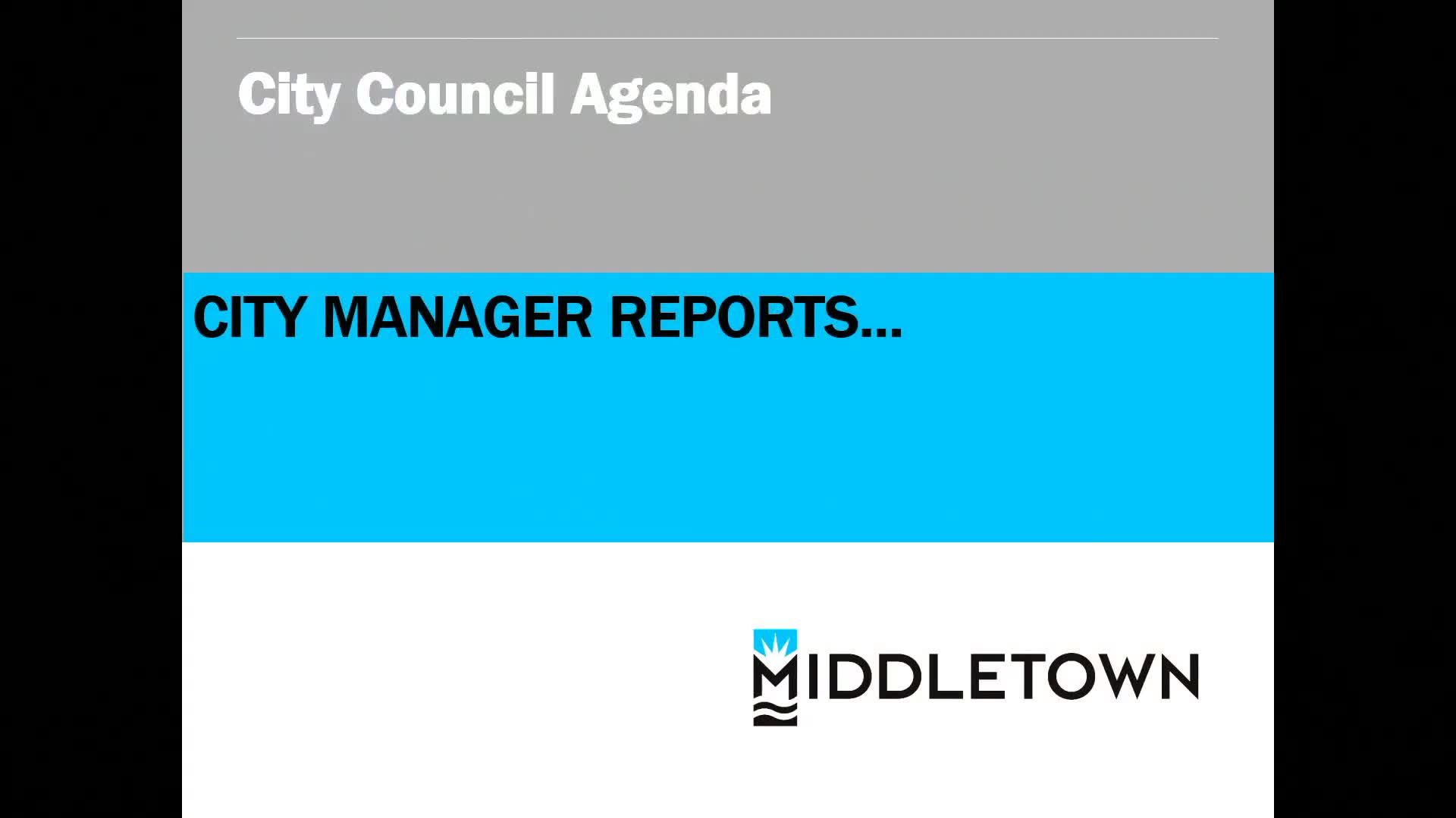 Council hears 2026 budget, votes to add budget approval as emergency on Dec. 2