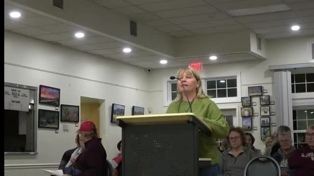 Neighbors oppose proposed gas station and 100-foot canopy at Steeles Plaza; planning and BZA process questioned