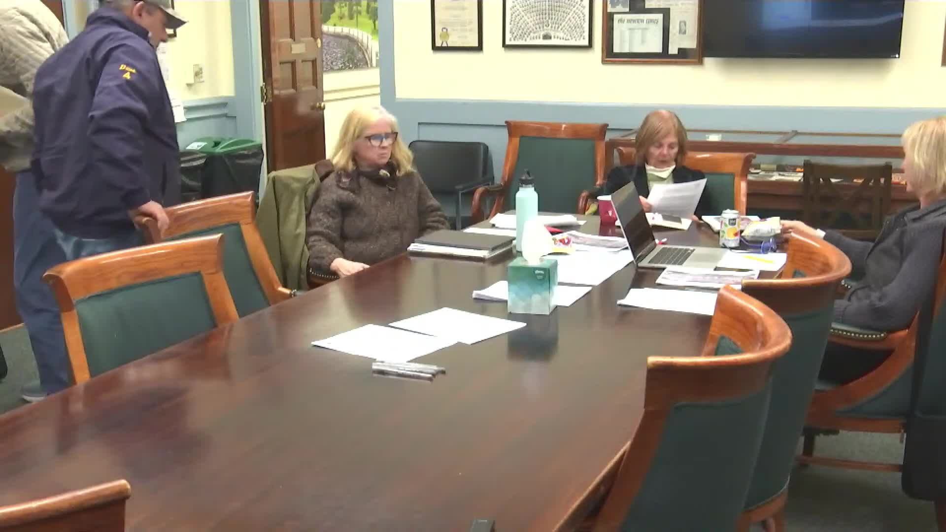 Abutters propose contracting Hamlet Street repairs; committee holds petition pending city guidance