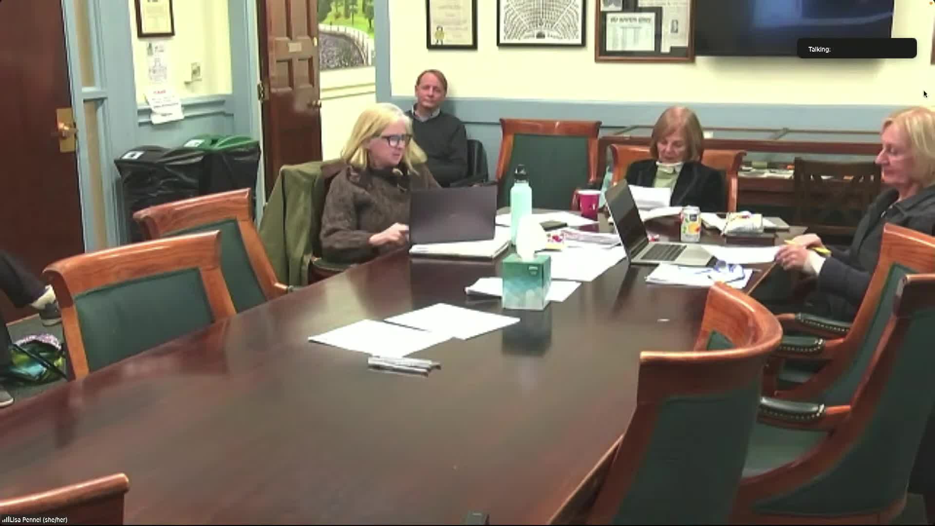 Committee tables proposed small-building energy-reporting ordinances after legal and practical questions