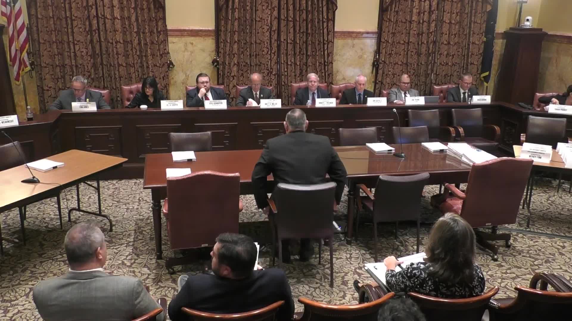 House committee approves mechanism to suspend municipal mergers alleged to involve fraud