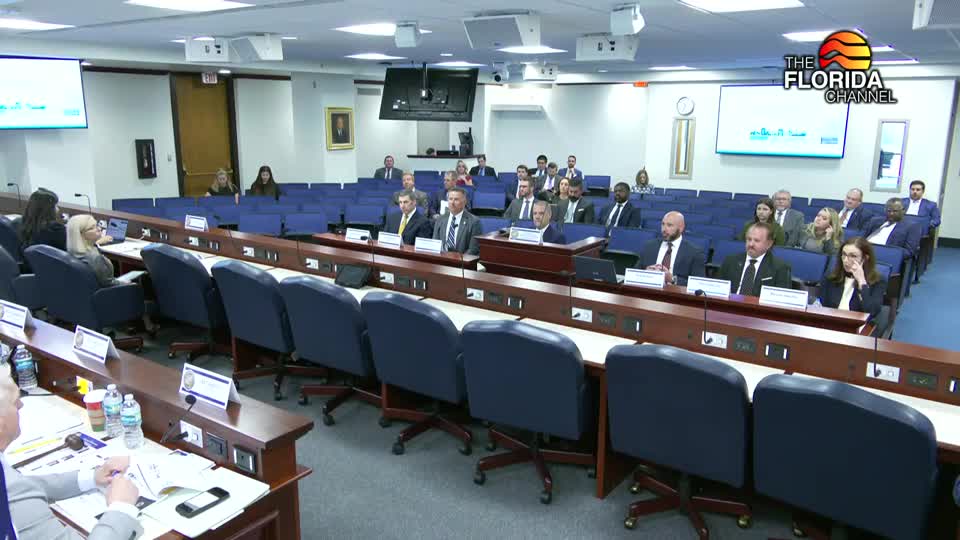 Natural gas industry officials tell House panel Florida supply is ample, point to pipeline integrity and RNG growth