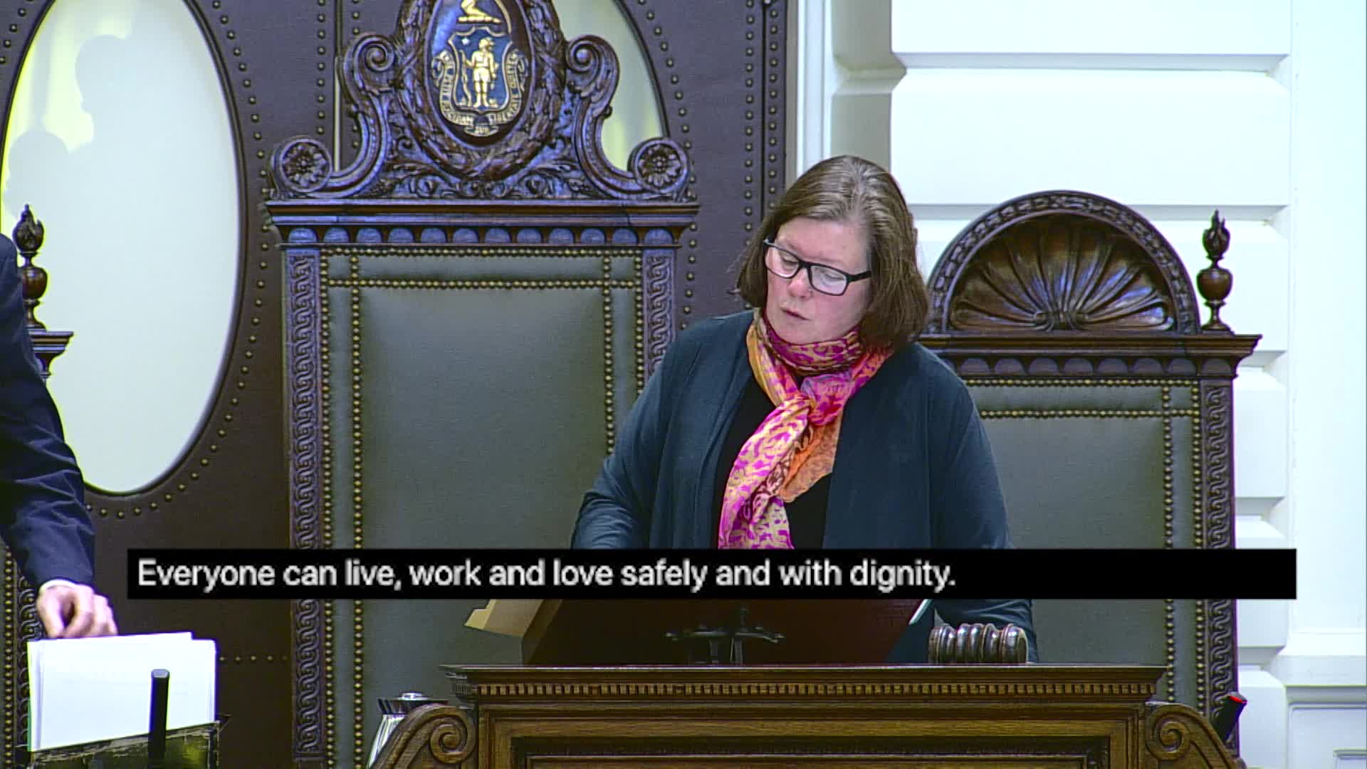 Senate receives election laws committee reports on validating town actions and related measures