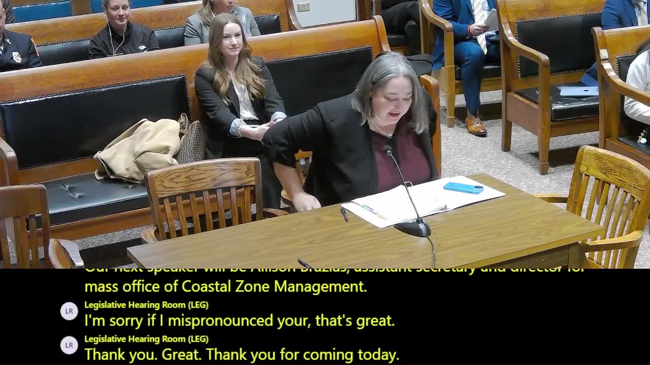 Cancellation of BRIC awards imperils Chelsea‑Everett island and river flood‑protection project