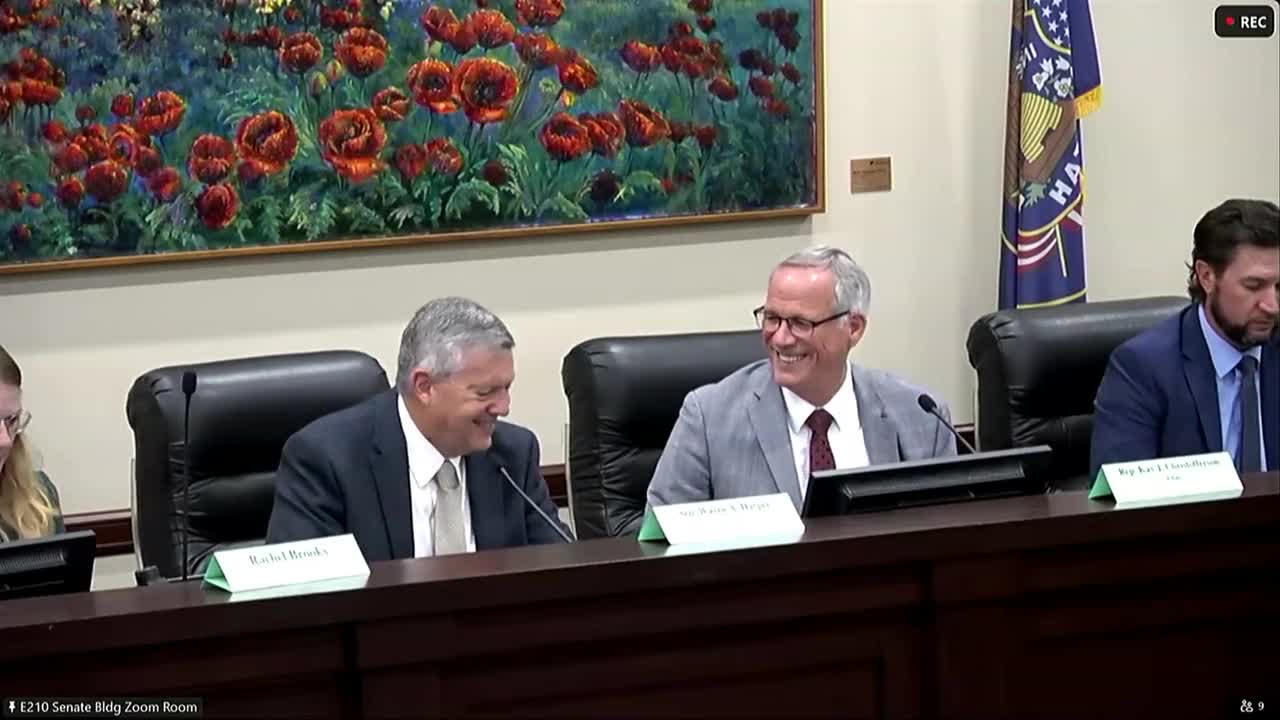 Committee reviews vehicle‑registration changes: personal fleets, two‑year option and lifetime trailer registration