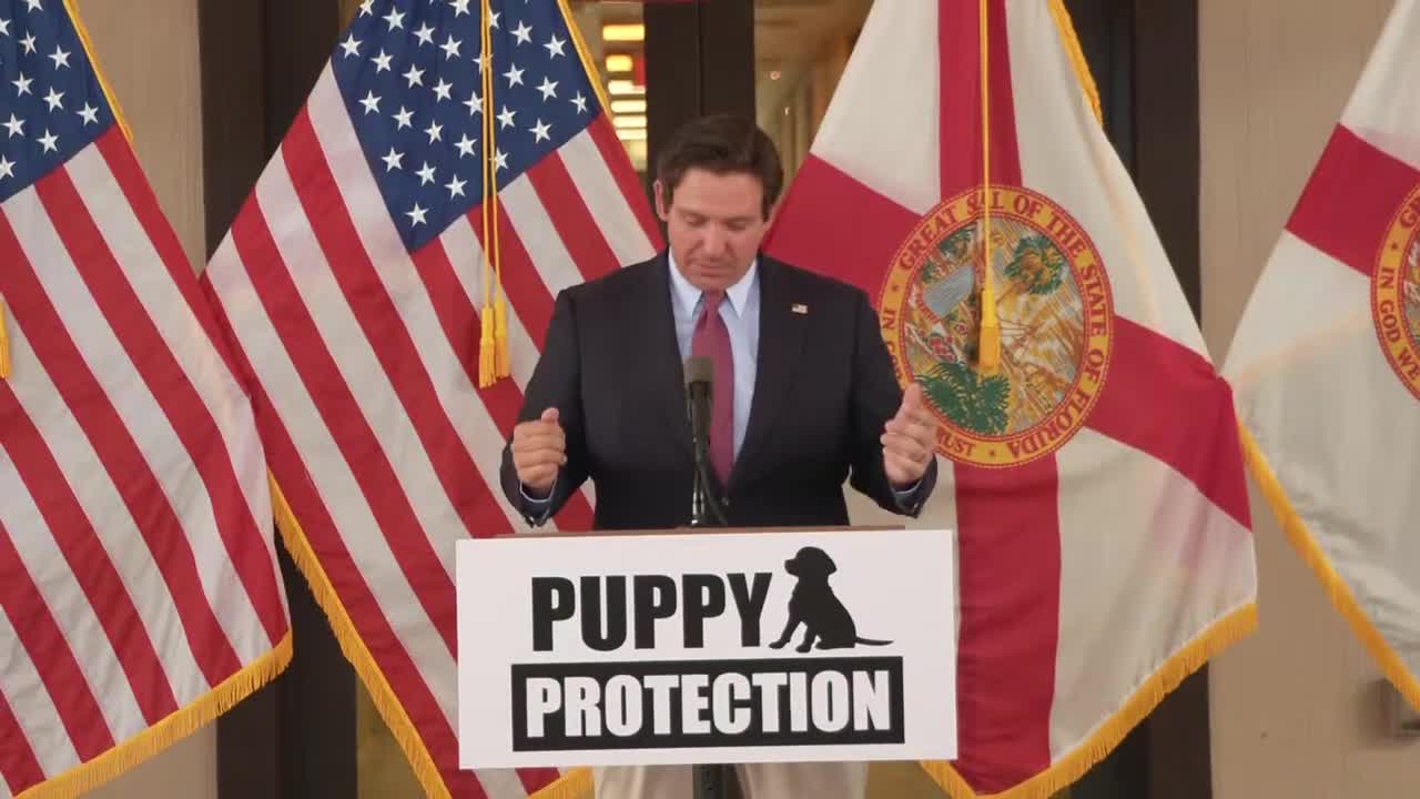 DeSantis, allies push licensing and tighter penalties for dog breeders at Big Dog Ranch Rescue