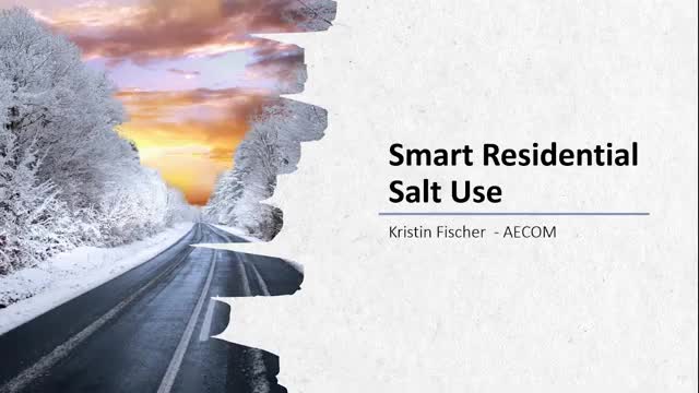 Verona and consultant outline salt pollution threats to water, and municipal steps to cut use