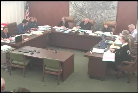 Council receives annual stormwater report; contract monitoring and Measure W funding questioned