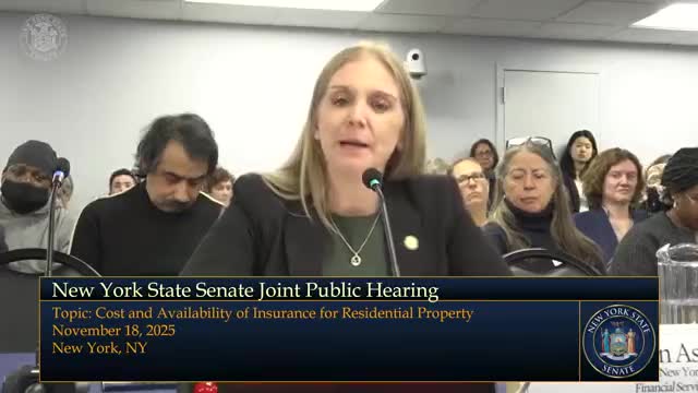 Senate hearing: DFS pins insurance strain on climate, costs and legal trends; regulator urges resilience, data