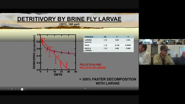Researchers flag shifting nutrient dynamics and possible berm effects on Great Salt Lake ecology