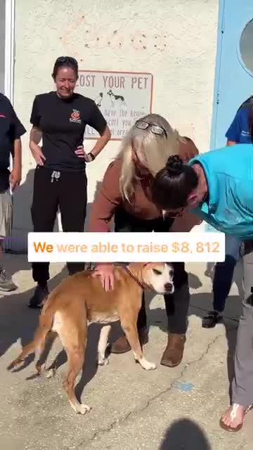 Leadership Citrus presents $8,812 to Citrus County Animal Shelter as shelter urges more fostering and donations