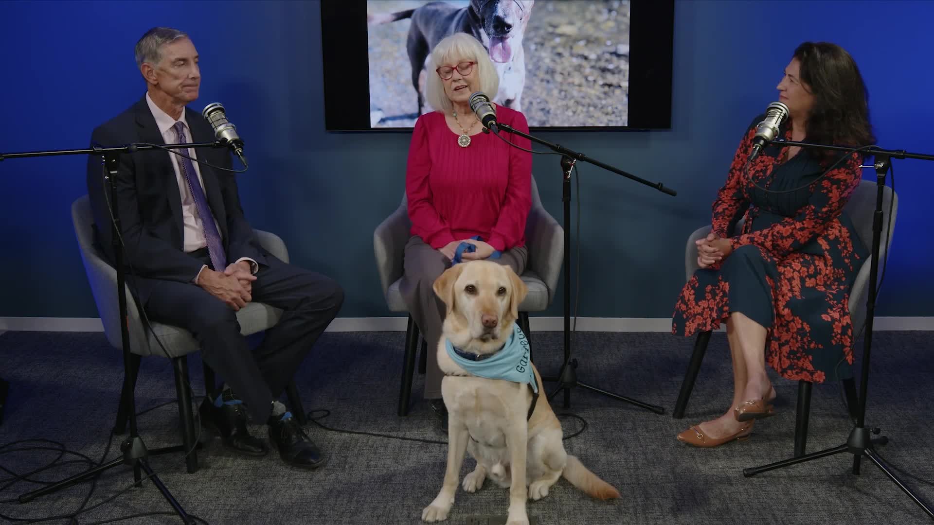 San Mateo County dispatchers get therapy dog, Mindbase app and other wellness supports