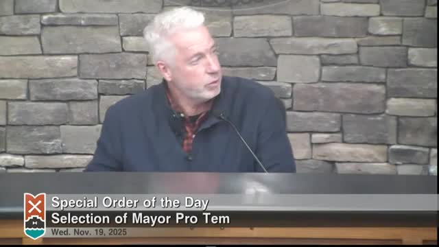 Holland council elects new mayor pro tem and chief governance officer; approves appointments and a $2,500 gift