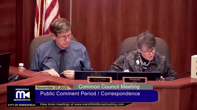 Residents raise airport terminal concerns; council appoints alternate to CWED