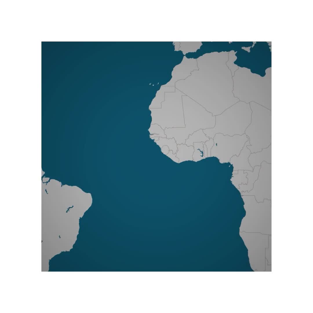 U.N. secretary-general 'following with deep concern' over Guinea-Bissau, statement says