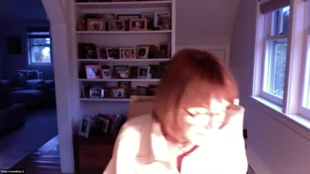 Commission reviews townwide accessibility updates: parking, crosswalks, hospital kiosk and restaurant access