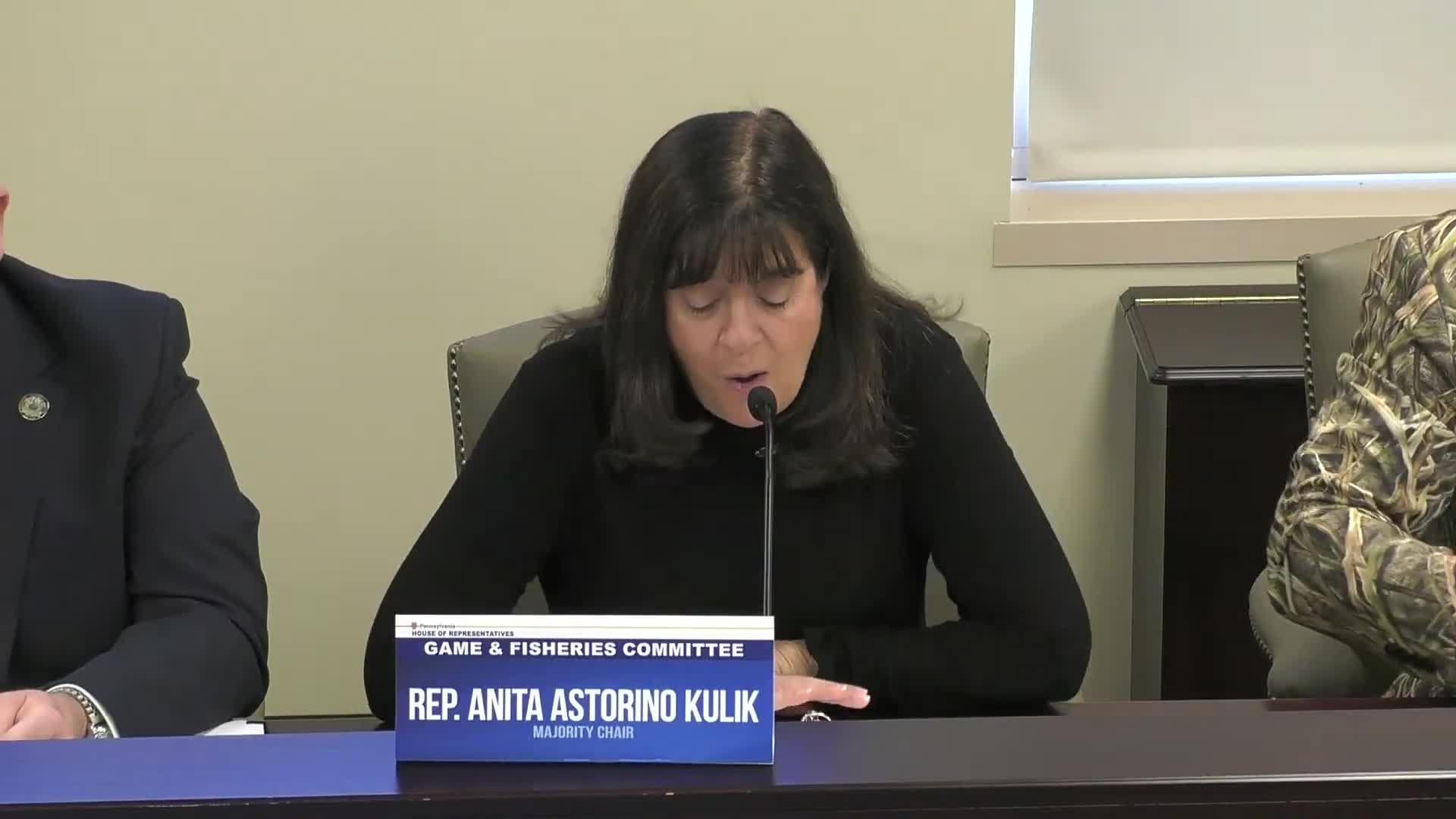 House committee amends and advances bill to require marking and public mapping of run‑of‑the‑river dams