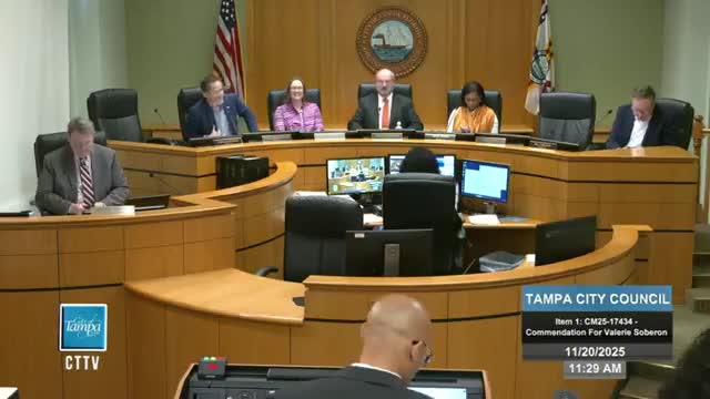 Planning commission outlines redistricting timeline, four alternatives ahead of 2027 election