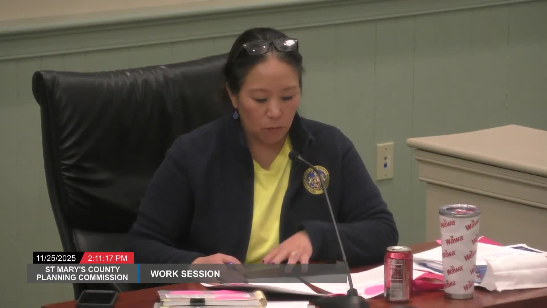 Planning commission reviews environmental chapter of St. Mary's 2050 plan, asks for clearer implementation and mapping