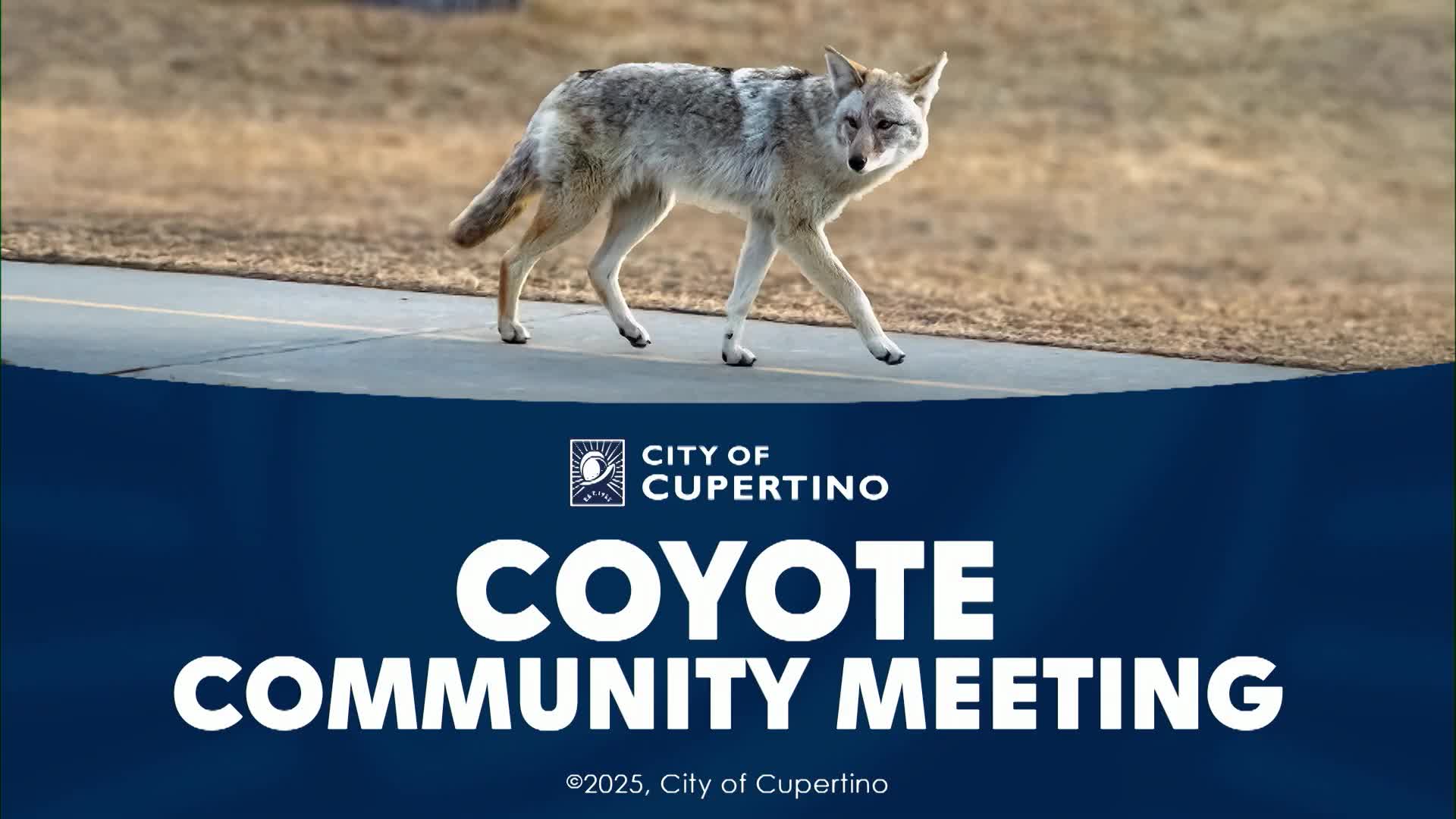 Cupertino residents press for action as experts urge coordinated hazing and attractant control