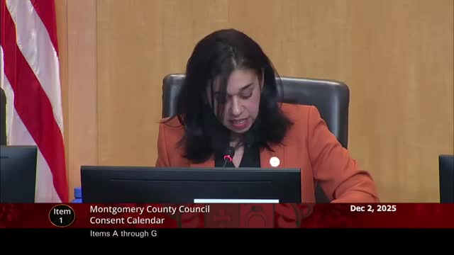 Council interviews three finalists for at‑large vacancy; appointment set for Dec. 9