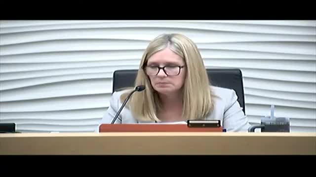 Council rejects rezoning request for Almedia Road property after planning commission recommendation