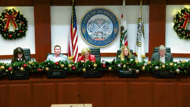 Council delays reassigning legislative workgroup seats, authorizes short-term DC trip continuity