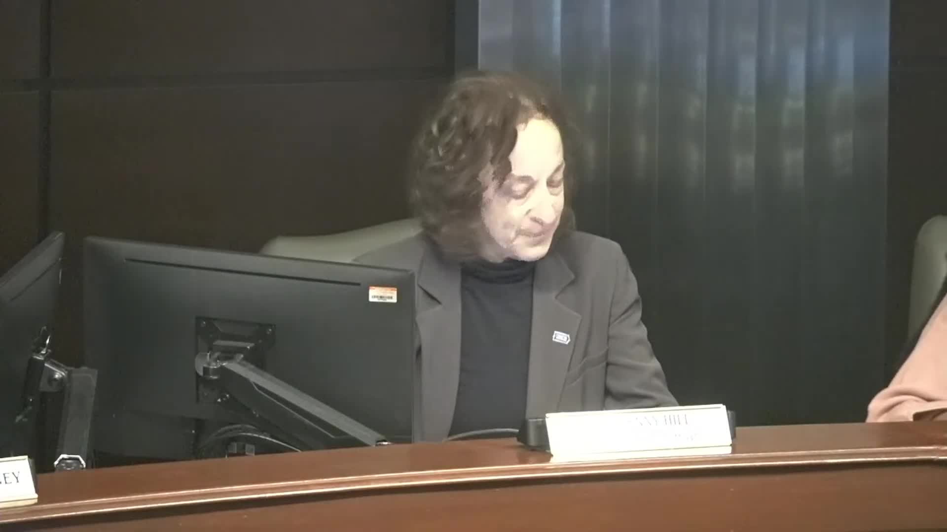 Council’s Planning & Zoning Briefing: Rezoning Requests, Industrial Uses and Parking Rules Draw Debate