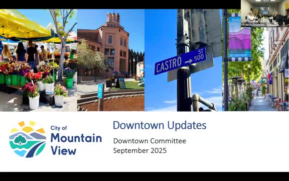 Mountain View committee hears downtown development updates, adopts 2026 meeting schedule