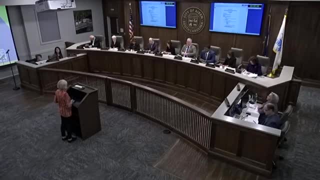 Public commenters press council on homelessness response, bridge housing and accessibility for downtown redevelopment