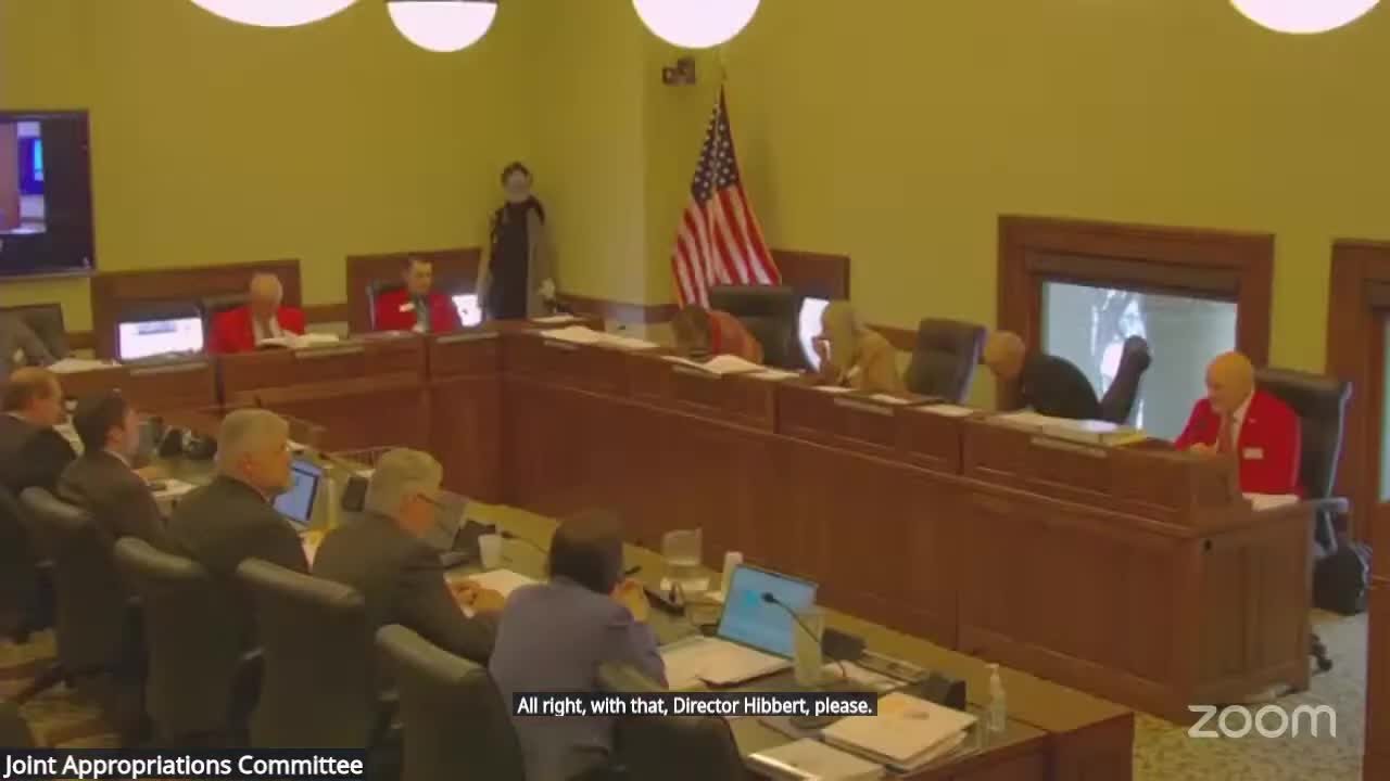 State budget staff urge folding technology‑replacement requests into standard budget to cut 700 agency exceptions