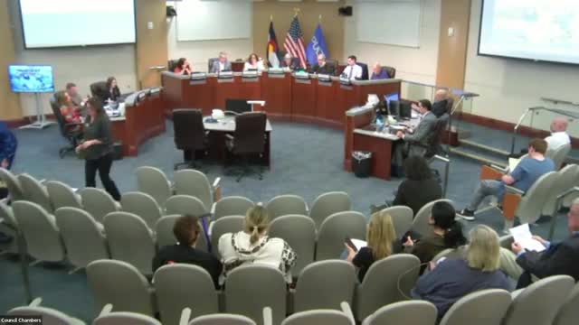 Council opens study of at-large election format after high undervote counts in past elections