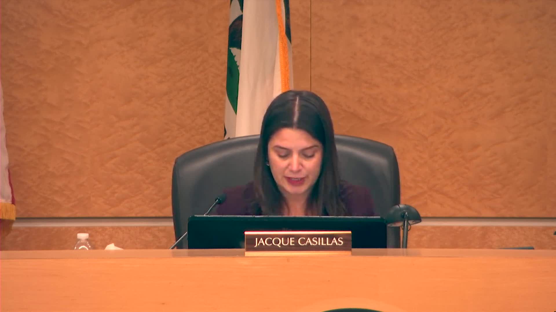 Council reviews 2026 legislative platform; adds CEQA and divestment language and appoints delegates