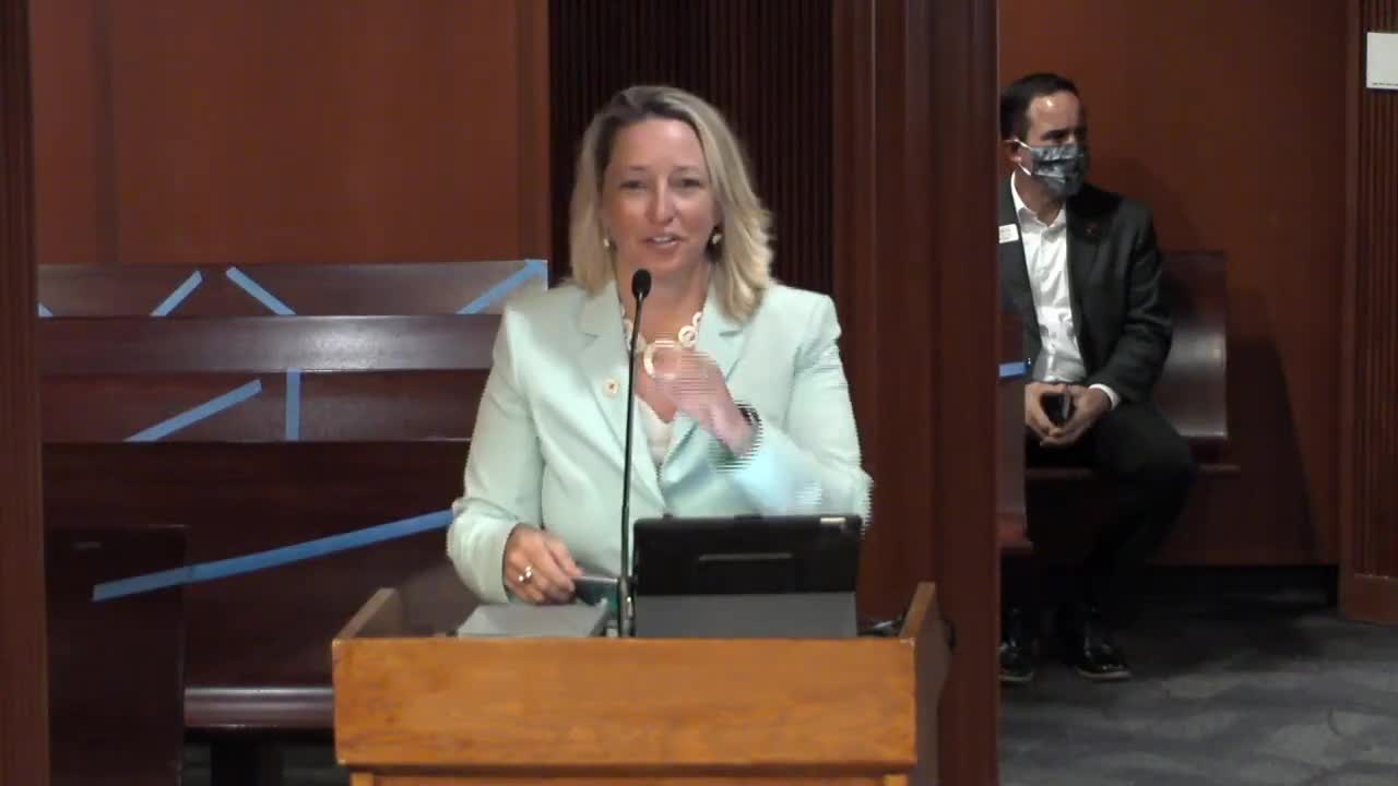 Committees confirm Janine Miller as GDOT director of planning after bipartisan endorsements