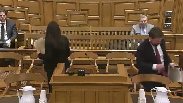 Appeals court hears challenge to termination of father's parental rights; DCF and children's counsel support affirmance