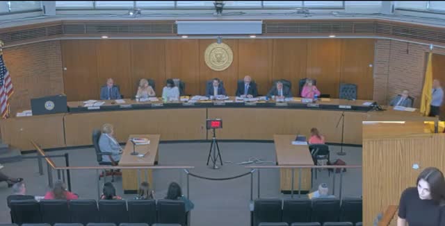 Millbrook Civic Association raises concerns about larger homes, loss of greenery and drainage